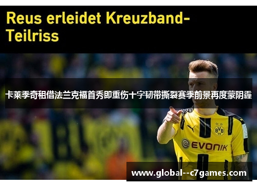 卡莱季奇租借法兰克福首秀即重伤十字韧带撕裂赛季前景再度蒙阴霾